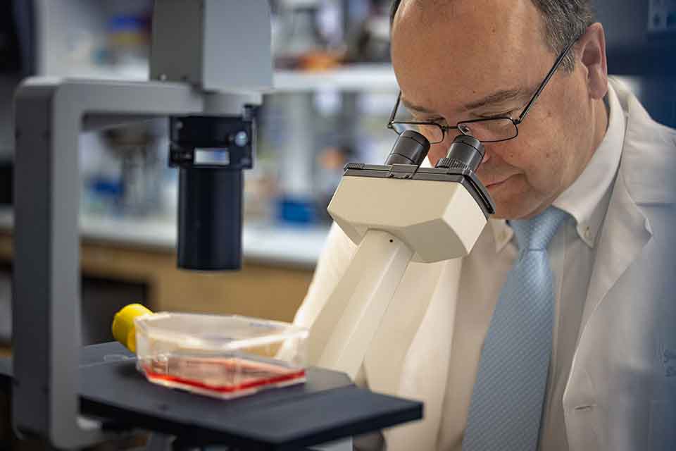 New Treatments Liver A researcher looks into a microscope while standing in his lab.